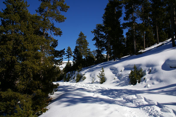 Le chemin en descendant vers La Devesa