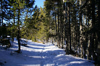 Le chemin sous le refuge pastoral de Ste Locadie