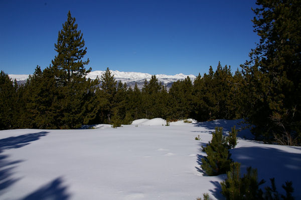 Le panorama du Puig Carlit aux Puigs Peric depuis la Font Llagostera