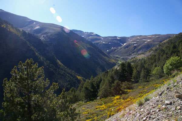 Le Sud du vallon de la Ribera d_Err domine par la crte menant au Puigmal d_Err