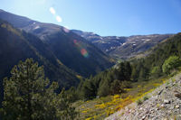 Le Sud du vallon de la Ribera d'Err dominee par la crete menant au Puigmal d'Err