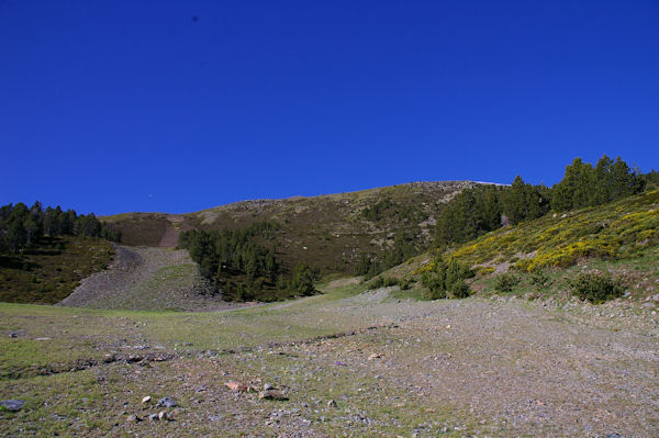 La piste blue qui monte vers le tlski de Duraneu