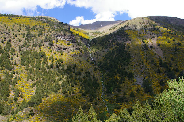 Un torrent descendant du Puig de Coma Dola