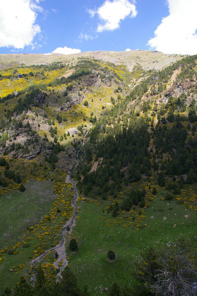 Un torrent descndant du Puig de Coma Dola