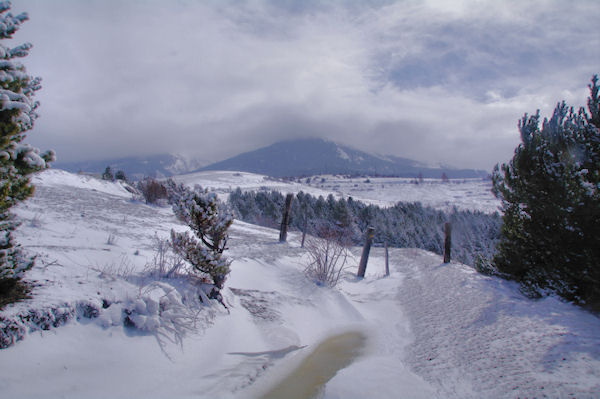 Sur le chemin du Coll de Rigat