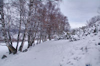 Le chemin descendant dans la valle du Riu d_Eina