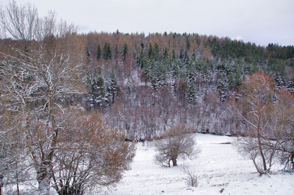 La fort rive gauche du Riu d_Eina