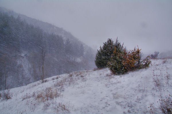 Au dessus du Torrent dels Andius