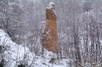 Pne dans le vallon du Torrent dels Andius