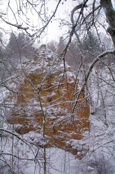 Dans le vallon du Torrent dels Andius