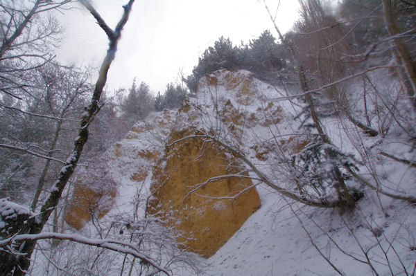 Dans le vallon du Torrent dels Andius