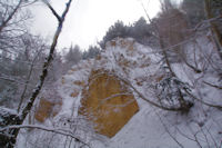 Dans le vallon du Torrent dels Andius