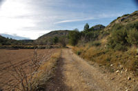 Le chemin dans la Combe Franaise