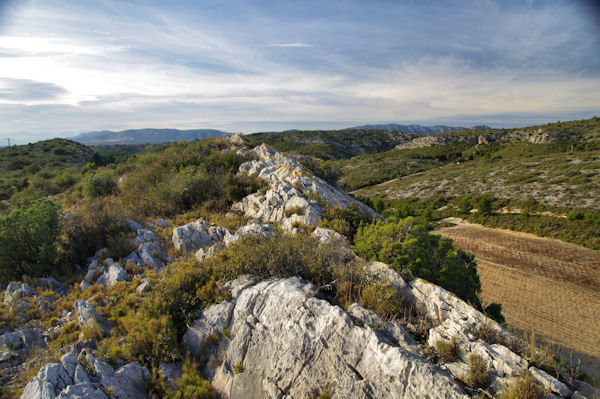 La crte de Cim de la Coma Francze