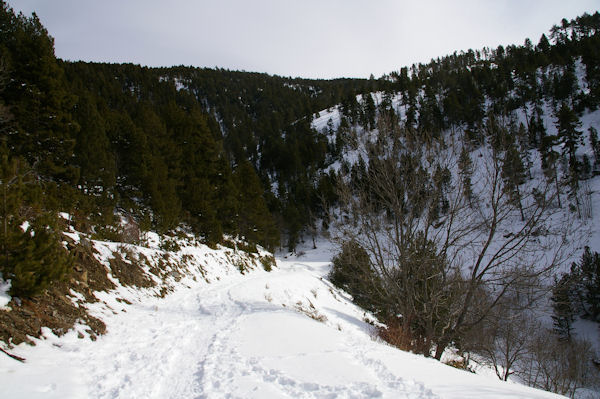 Le chemin vers Prats del Forn