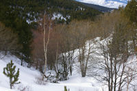 Effets de couleurs dans le vallon du torrent de l_Orri Vell