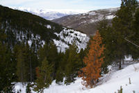 Le vallon du torrent de la Peguera