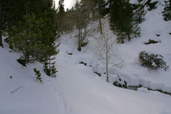 Le torrent de la Peguera