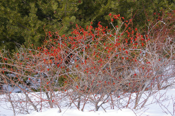 Contraste de couleurs vers Planelles