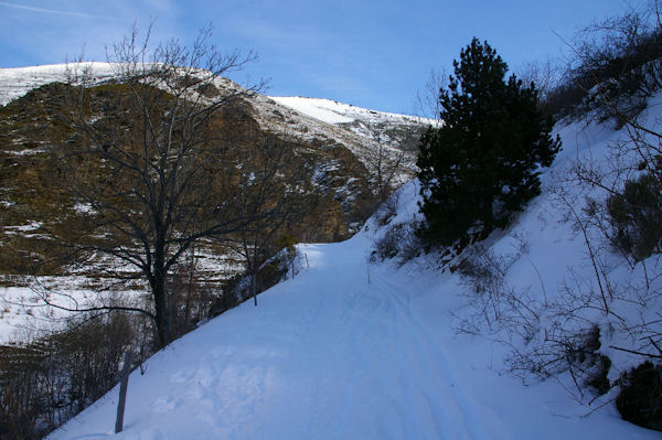 Le vallon du torrent de la Tossa surmont par la Serra de l_Artiga
