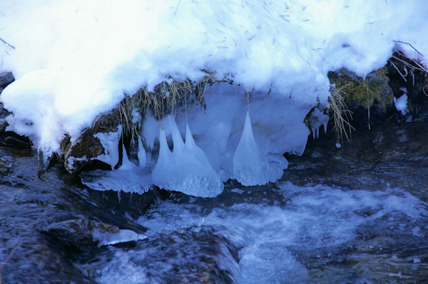 Des stalagmites dans le Sgre