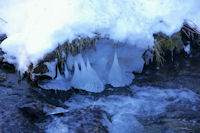 Des stalagmites dans le Segre