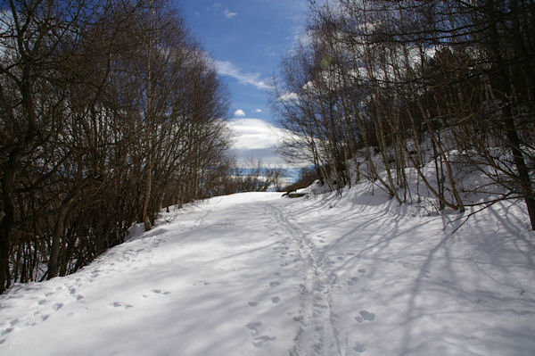 Le chemin enneig remontant  La Socarrada