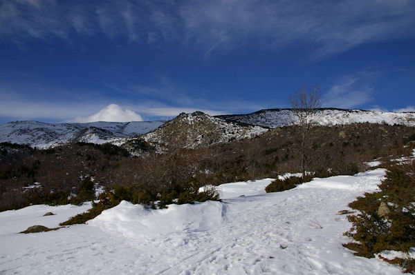 Au centre le Serrat de Castella depuis la Socarrada