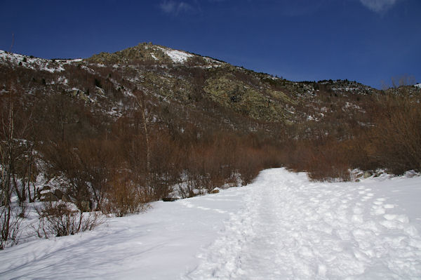 Le chemin enneig montant  la chapelle, au dessus, la Serra de la Tira Dreta