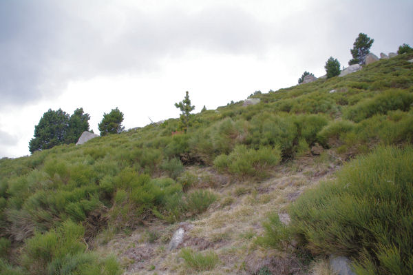 En remontant la Serra de la Tosa