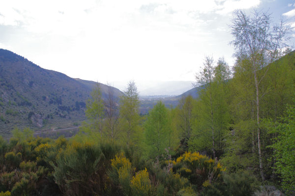 Le Sud du vallon du Riu de Querol depuis Serrat dels Camps