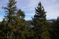 Au fond, le Canigou depuis la monte au Puig de la Tossa