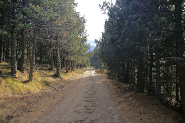 Le chemin pour rejoindre le vallon des Carbonres