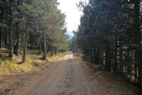 Le chemin pour rejoindre le vallon des Carbonres