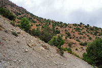 Le sentier sur le djebel Tafenfent