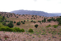 Un petit plateau menant  l_Assif Tafenfent