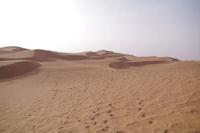 Les dunes de Bogarn