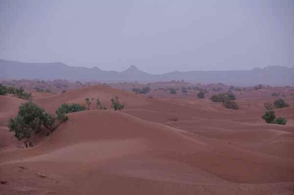 Les dunes d_Oulad Driss, au fond, le Djebel Bani