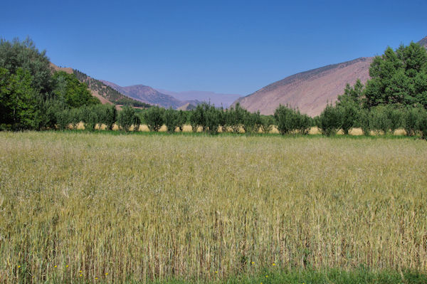 La riche valle des At Bouguemez