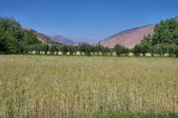 La riche valle des At Bouguemez