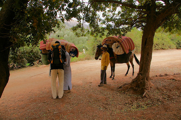 Sad, le guide, Mohamed et Mohamed, les muletiers, enfin prts pour le grand dpart, peu avant Tassa Wirgane