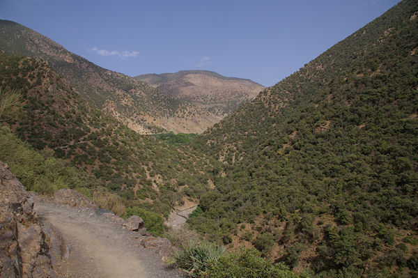 Paysages verdoyants entre Tassa Wirgane et Azersfane, au fond, le Jbel Tasghimout