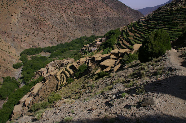 Cultures en tages  la sortie de Tizi Oussem