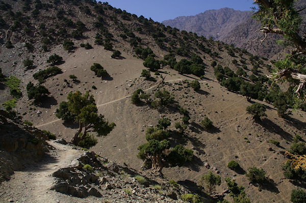 Le chemin dans la valle d'Azaden entre Tizi Oussem et Azib Tamsoult