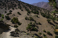 Le chemin dans la valle d'Azaden entre Tizi Oussem et Azib Tamsoult