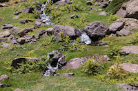 Un peu de verdure au dessus d'Azib Tamsoult