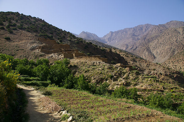 Cultures en tages  la sortie de Tizi Oussem