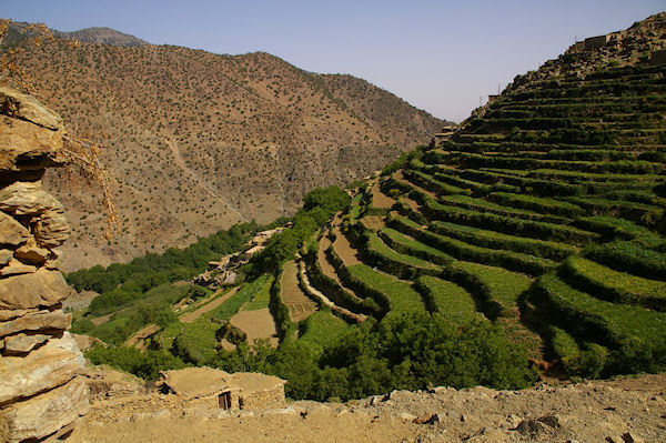 Cultures en tages  la sortie de Tizi Oussem