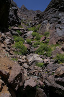 Un petit coin de verdure en descendant vers le refuge du Toubkal