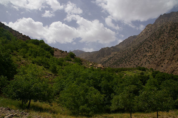 La valle de l'Assif n Isougouane remontant vers Sidi Samharouch